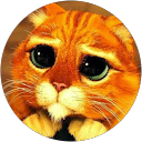 MIC LIN profile picture