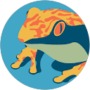 農億庭 profile picture