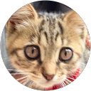 徐翊庭 profile picture